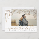 Search for border in white silver invitations Bride