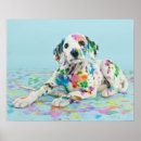 Search for dalmatian puppy posters Photography