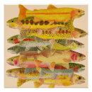 Search for rainbow trout art Glace
