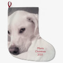 Search for grey dog christmas stockings Cute