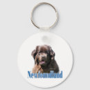 Search for newfy key rings Newfoundland
