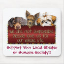 Search for shelter mouse mats Animal