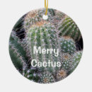 Search for arid christmas tree decorations Cactus