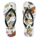 Search for butterfly flipflops Wildlife