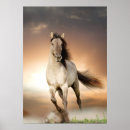 Search for stallion posters Equine
