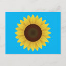Search for sunflower postcards Sky