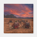 Search for camel magnets Giza