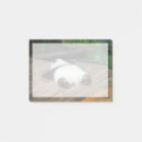 Search for giant post it notes Animals in the wild