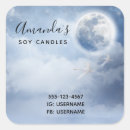 Search for swans stickers Elegant