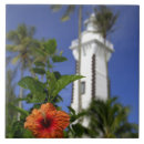 Search for polynesia tiles Sightseeing
