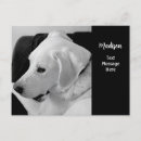 Search for missing pet supplies Photograph