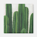 Search for cacti magnets Cactus