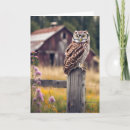 Search for wise owl Humour