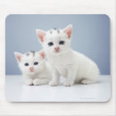 Search for purity mouse mats Nature