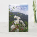 Search for jasmin photography Floral