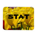 Search for medicinal magnets Nurse