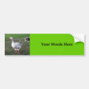 Search for goose bumper stickers Animals