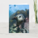 Search for baby seal cards Ocean