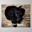 Search for lab” posters Black lab