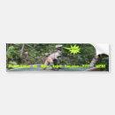 Search for lizards bumper stickers Dinosaur