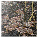 Search for reflections tiles Trees