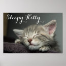 Search for sleepy posters Pets