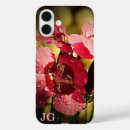 Search for pink carnation iphone cases Floral