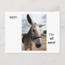 Search for ears postcards Funny