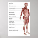 Search for three quarter posters Human