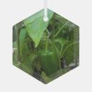 Search for vegetable garden christmas tree decorations Farm