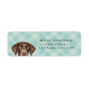 Search for german shorthair pointer return address labels Dog