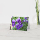 Search for variety cards Floral