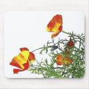 Search for poppies mouse mats Orange