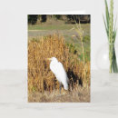 Search for heron cards Grass