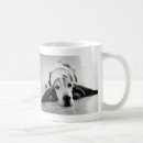 Search for animal charities mugs Dog