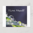 Search for affirmations cards Spiritual
