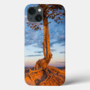 Search for beautiful ipad cases Photography