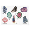 Search for gem stones posters Agate