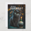 Search for cute 4x6 invitations Cats