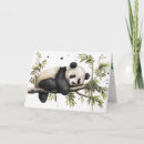 Search for panda bear birthday cards Cute