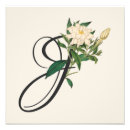 Search for initial j art Botanical