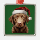 Search for chesapeake bay retriever christmas tree decorations Pet