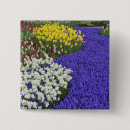 Search for daffodil square badges Garden