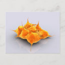 Search for medium group of objects postcards Colour image