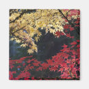 Search for maple tree Colour