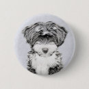 Search for tibetan badges Dog