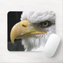 Search for prey mouse mats Nature