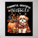 Search for pie day posters Harvest