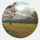 Search for cade stickers Mountain