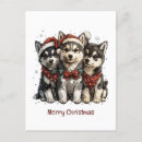 Search for husky dogs postcards Snowflakes